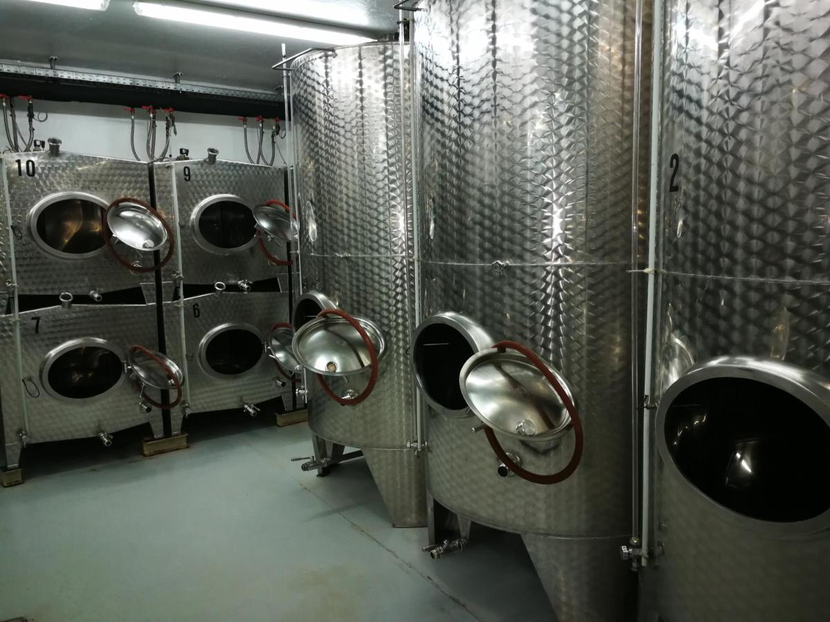 Winzerhof Brachtendorf アルケン エクステリア 写真