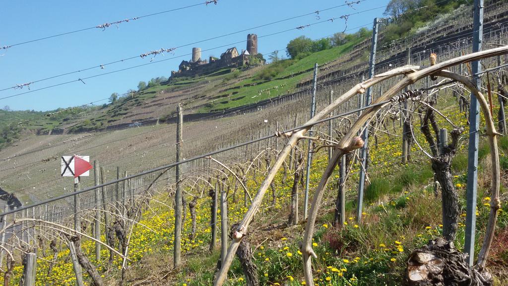 Winzerhof Brachtendorf アルケン エクステリア 写真