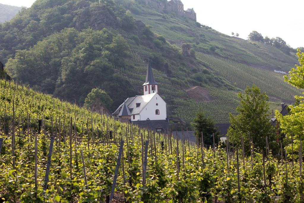 Winzerhof Brachtendorf アルケン エクステリア 写真