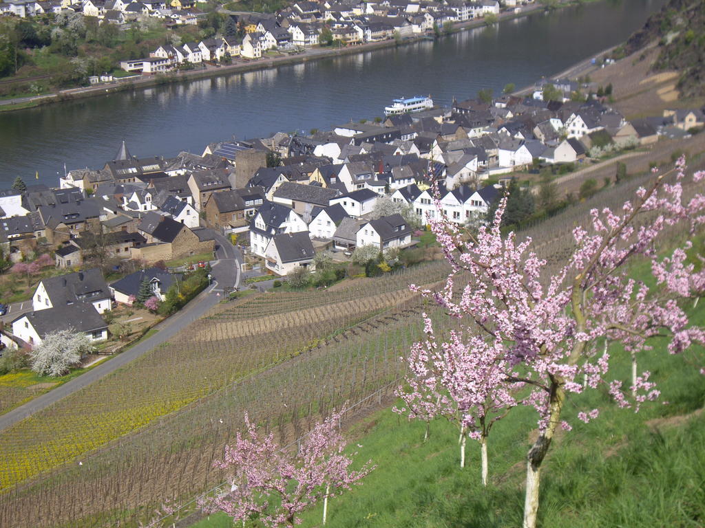 Winzerhof Brachtendorf アルケン エクステリア 写真
