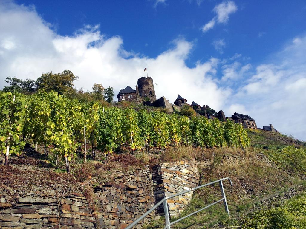 Winzerhof Brachtendorf アルケン エクステリア 写真