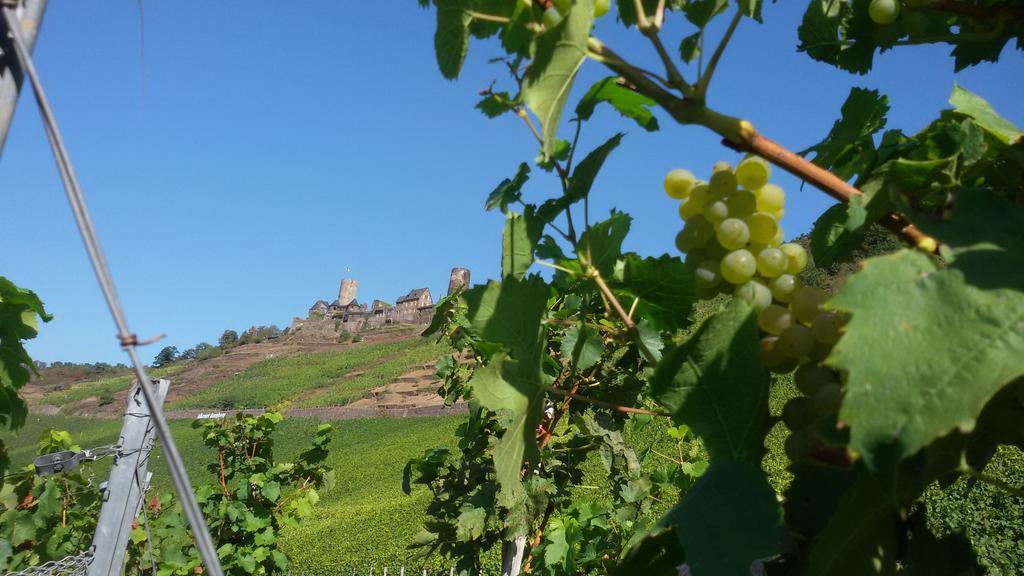Winzerhof Brachtendorf アルケン エクステリア 写真